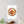 Autumn harvest pumpkin wreath wall decal - decals