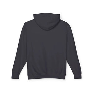 Grand rapids scenic lightweight hooded sweatshirt - hoodies