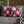 Kawaii Pink Blossom Pillowcase — Cute Floral Decorative Throw Pillow