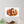 Autumn hedgehog wall decals