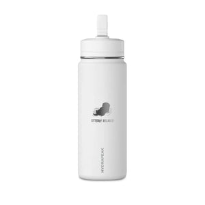 Otter illustration on a DipaliZ insulated 20 fl oz hydration bottle