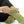 Floral Bouquet Sublimation Socks — Green Vintage Flower Crew Socks