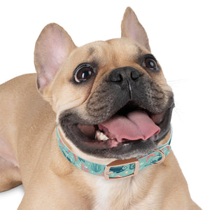 Sea Life Dog Collar — Aqua Fish & Coral Pattern for Pets