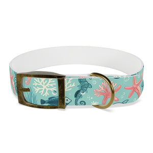Sea Life Dog Collar — Aqua Fish & Coral Pattern for Pets
