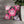 Kawaii Pink Blossom Pillowcase — Cute Floral Decorative Throw Pillow