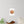 Autumn harvest pumpkin wreath wall decal - decals