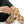 Cute Giraffe Pattern Sublimation Socks — Fun Animal Crew Socks for Kids & Adults