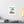 Matte Poster - 