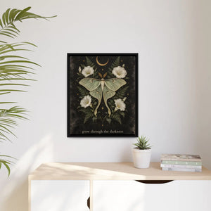 Framed canvas wall art luna moth “grow through the darkness” botanical decor - printable