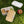 Safari Friends Bento Lunch Box — Cute Jungle Animal Kids Lunchbox