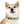 Checkered Pup Collar - Hypoallergenic Thermo - Dipaliz - Pet Collars & Harnesses