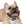Checkered Pup Collar - Hypoallergenic Thermo - Dipaliz - Pet Collars & Harnesses
