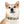 Checkered Pup Collar - Hypoallergenic Thermo - Dipaliz - Pet Collars & Harnesses