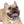 Checkered Pup Collar - Hypoallergenic Thermo - Dipaliz - Pet Collars & Harnesses