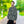 Bold Pattern Windbreaker Jacket - Color Splashes - Dipaliz - Windbreakers