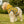 Dog Hoodie Birds Polyester Comfort Style - Dipaliz - Apparel & Accessories