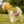 Dog Hoodie Birds Polyester Comfort Style - Dipaliz - Apparel & Accessories