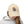 Distressed Delights Hat - Premium Cotton Twill - Dipaliz - Hats