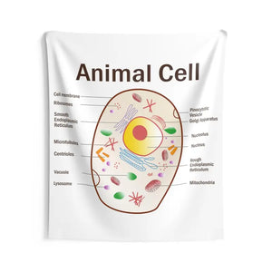 Animal Cell Educational Wall Tapestry Science Art Decor - Dipaliz - 68’’ × 80’’ - Decorative Tapestries