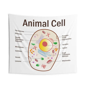 Animal Cell Educational Wall Tapestry Science Art Decor - Dipaliz - 104’’ × 88’’ - Decorative Tapestries