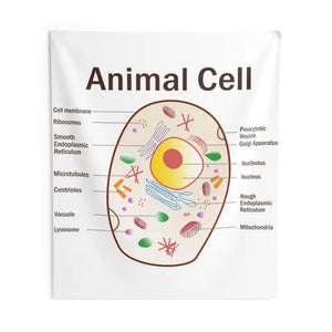 Animal Cell Educational Wall Tapestry Science Art Decor - Dipaliz - 88’’ × 104’’ - Decorative Tapestries