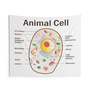 Animal Cell Educational Wall Tapestry Science Art Decor - Dipaliz - 60’’ × 50’’ - Decorative Tapestries