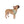 Soft-spun Dog Bandanas - Unique Park Designs - Dipaliz - Pet