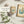Aquarius Bundle – Square