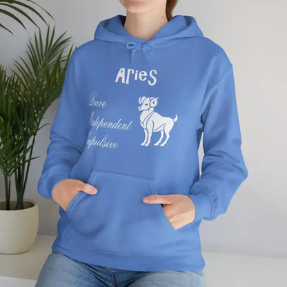 Aries Zodiac Hooded Sweatshirt: Ultimate Cozy Style! - Carolina Blue / s Hoodie