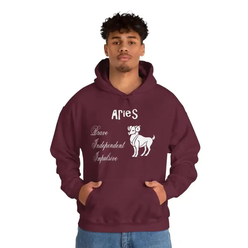 Aries Zodiac Hooded Sweatshirt: Ultimate Cozy Style! - Hoodie