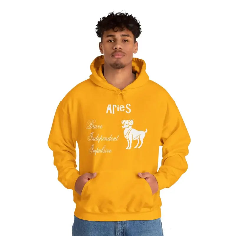 Aries Zodiac Hooded Sweatshirt: Ultimate Cozy Style! - Hoodie