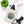 Eco Chic Canvas Tote - Squirrel Autumn Organic - Dipaliz - Bags