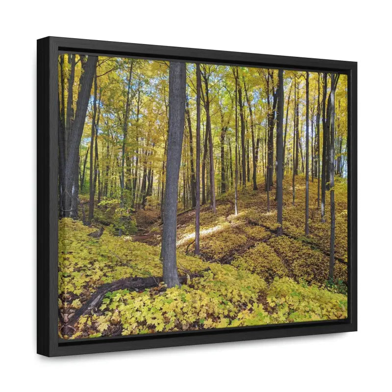 Autumn Elegance: Trendy Gallery Canvas Wraps for your Wall