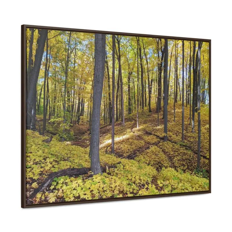 Autumn Elegance: Trendy Gallery Canvas Wraps for your Wall