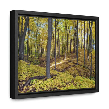 Autumn Elegance: Trendy Gallery Canvas Wraps for your Wall