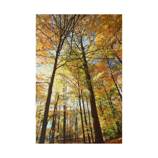 Autumn Splendor Matte Canvas: Fall Foliage at its Finest - 16″ x 24″ (vertical) / 0.75’’ Canvas