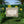 Custom Woodland Baby Shower Yard Sign Forest Friends - Dipaliz - Sidewalk & Signs