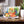 Fruit Veggie Ceramic Photo Tile – 6x6 Wall Art - Dipaliz - Tiles