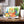 Fruit Veggie Ceramic Photo Tile – 6x6 Wall Art - Dipaliz - Tiles