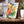Fruit Veggie Ceramic Photo Tile – 6x6 Wall Art - Dipaliz - Tiles