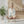 Shell Pattern Cotton Towel – Summer Beach - Dipaliz - Beach Towels