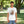 Soft Unisex Jersey Bear Tee - Family Gatherings - Dipaliz - T-shirts - Xs