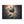 Blooming Canvas Gallery – Artist Grade Cotton - Dipaliz - Prints