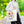 Vibrant Floral Tote Bag - Mother’s Day Gift - Dipaliz - Bags