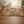 Floral Robin Coir Mat – Spring Bird Entryway - Dipaliz - Door Mats