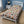 Tree Blanket – Cozy Birds Velveteen - Dipaliz - Blankets