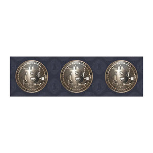 Bitcoin Car Magnets White Base Style Bold Emblem by Dipaliz - Vehicle