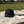 Black botanical hat styled for a picnic