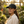 Black botanical hat worn in a garden