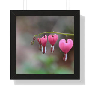 Bleeding Hearts Gallery Poster Pink Flowers Framed Art Dipaliz - 16″ x / Black - Posters Prints & Visual Artwork